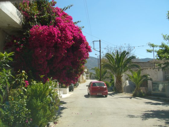 Bougainville